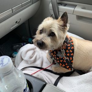 Meet your Posher, Robert